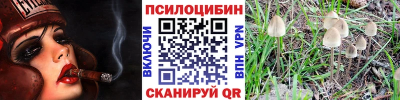 даркнет сайт  Белогорск  Псилоцибиновые грибы Cubensis 